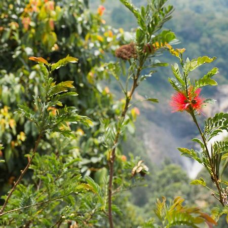 Aranyaka Resorts Munnar Zewnętrze zdjęcie